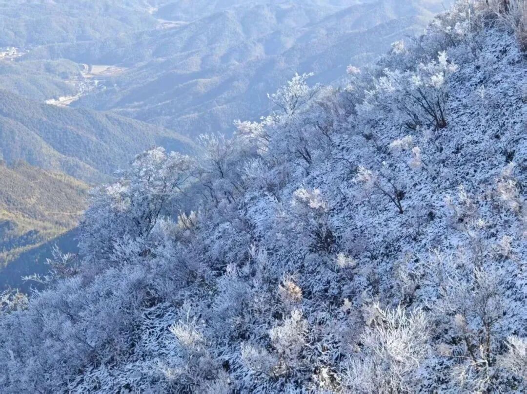  松溪迎首场降雪 高山区银装素裹入画来